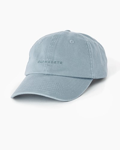 Alphalete Adjustable Cap Blå | GEOVW5271