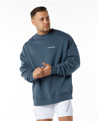 Alphalete Brushed Fleece Crewneck Sweater Blå | MDPYO9614