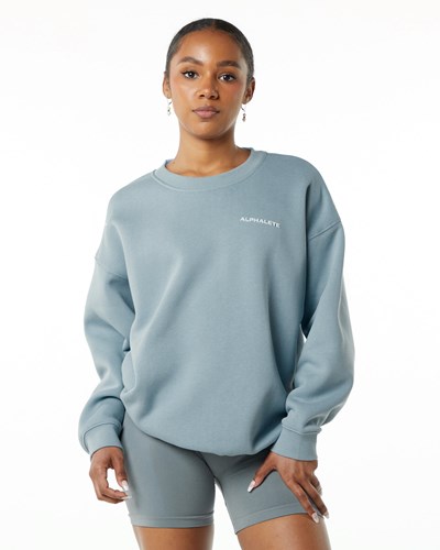 Alphalete Brushed Fleece Crewneck Sweater Blå | TWCMI2459