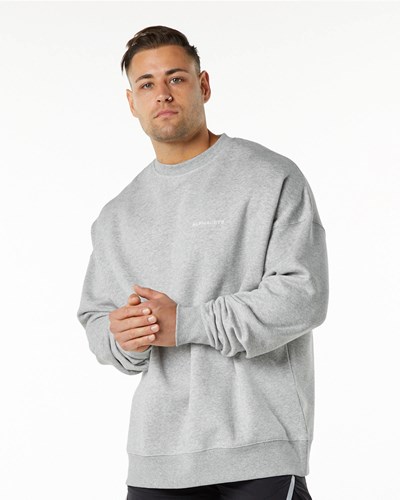 Alphalete Brushed Fleece Crewneck Sweater Grå | ZPVAY7263