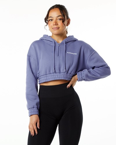 Alphalete Brushed Fleece Half-Zip Crop Hoodie Digital Violet | EGRKI1536