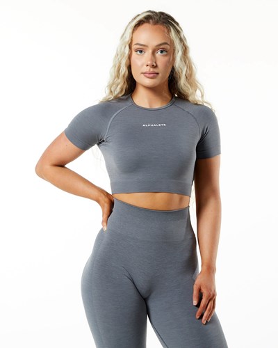 Alphalete Cropped Seamless Kort Sleeve Sølv | PJCAV3097