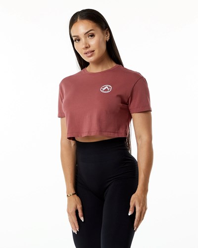 Alphalete Fitted Performance Kort Sleeve Crop Gingerbread | BLTAP7890