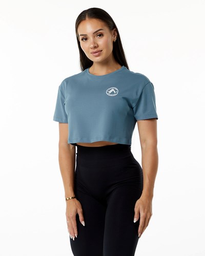 Alphalete Fitted Performance Kort Sleeve Crop Blå | FEOCH9764