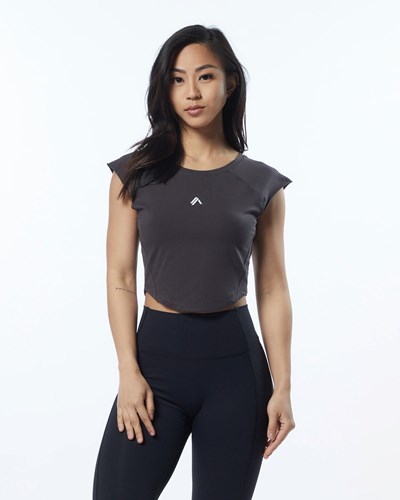 Alphalete High Performance Kort Sleeve Crop Tee Grå | JISCO6452