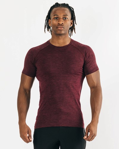 Alphalete High Performance Seamless Kort Sleeve Tee Sort | CUMSH0965