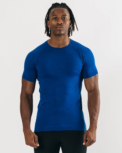 Alphalete High Performance Seamless Kort Sleeve Tee Blå | GHVBU6820