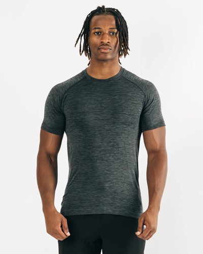 Alphalete High Performance Seamless Kort Sleeve Tee Sort | PTCOA4809