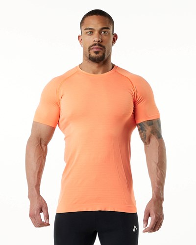 Alphalete High Performance Seamless Kort Sleeve Tee Faded Day Tripper | VILPY8069