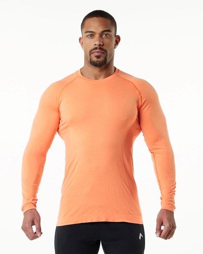 Alphalete High Performance Seamless Long Sleeve Tee Faded Day Tripper | AWFBX1589