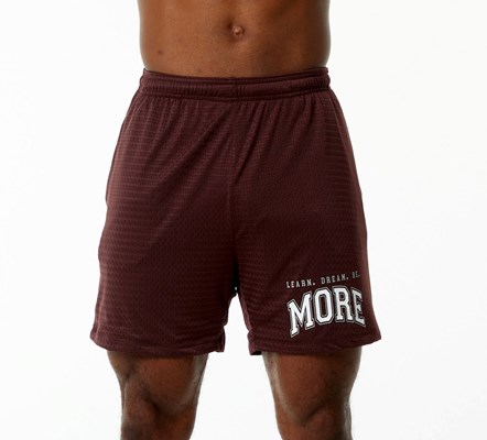 Alphalete Luxury Forede 4-Way Stretch Mesh Kort Bordeaux | IYWCJ6012