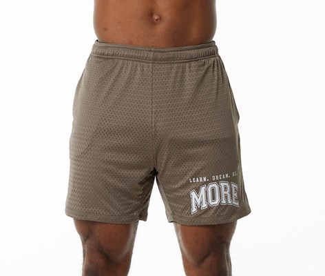 Alphalete Luxury Forede 4-Way Stretch Mesh Kort Mocha | YGKFO3894