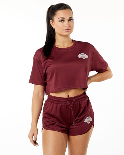 Alphalete Oversized Crop Jersey Crimson | CEHOW3271