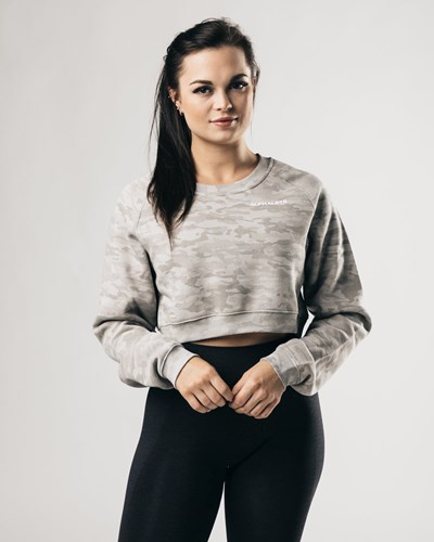 Alphalete Oversized Fleece Cropped Sweater Sølv | QUIGA0695