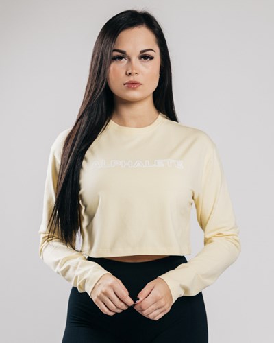 Alphalete Oversized Performance Long Sleeve Crop Sea Salt | AMXTD2384