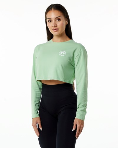 Alphalete Oversized Performance Long Sleeve Crop Pistachio | FZIMO6834