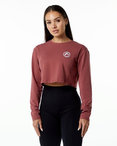 Alphalete Oversized Performance Long Sleeve Crop Gingerbread | MSEPC8314