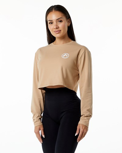 Alphalete Oversized Performance Long Sleeve Crop Taupe | TNMDF0261