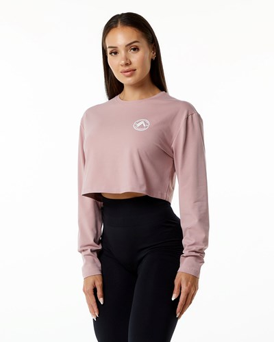 Alphalete Oversized Performance Long Sleeve Crop Mauve | XDITS4029