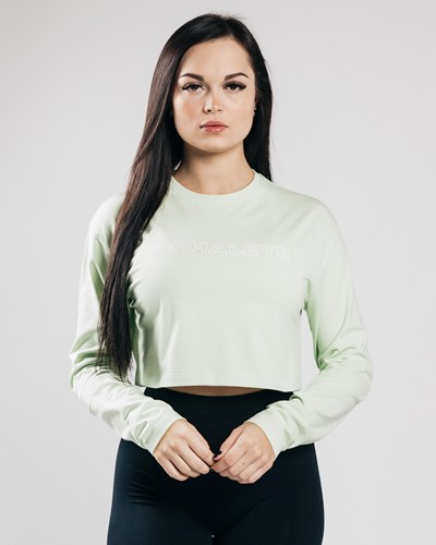 Alphalete Oversized Performance Long Sleeve Crop Frozen Spring | YVBJO0471