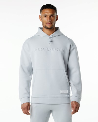 Alphalete Relaxed Interlock Knit Hoodie Grå | DKRZG0138