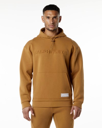 Alphalete Relaxed Interlock Knit Hoodie Almond | ETQWK8506