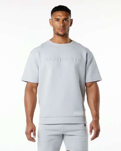 Alphalete Relaxed Interlock Knit Pullover Grå | SEPZV5124