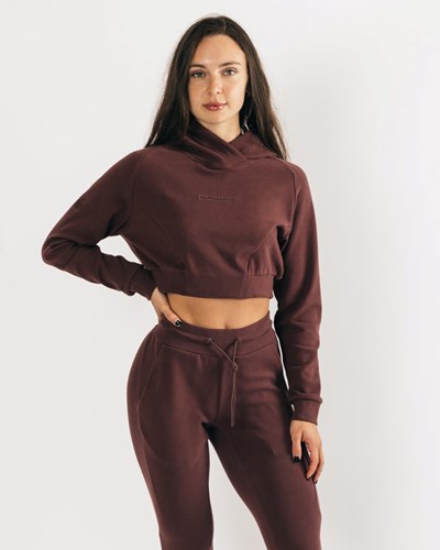 Alphalete Relaxed Single-Brushed Pullover Hoodie Mahogany | AFGUD2764