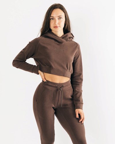 Alphalete Relaxed Single-Brushed Pullover Hoodie Cocoa | IZLGR0219