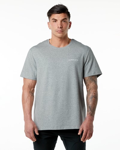 Alphalete Set-In Sleeve Tee Grå | ELCGA8364