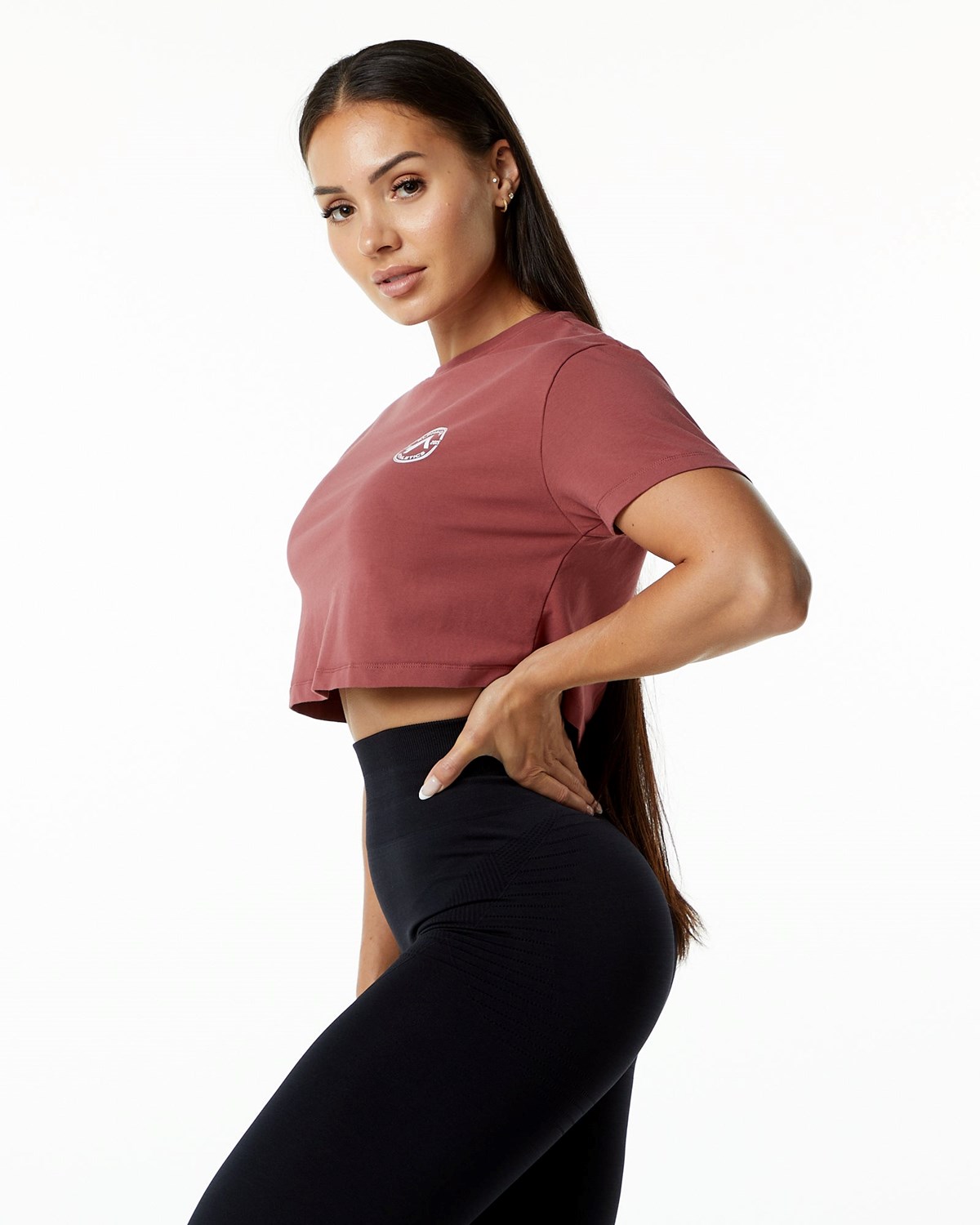 Alphalete Fitted Performance Kort Sleeve Crop Gingerbread | BLTAP7890