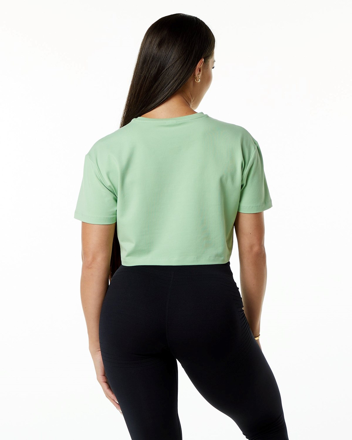 Alphalete Fitted Performance Kort Sleeve Crop Pistachio | XDLRA6271