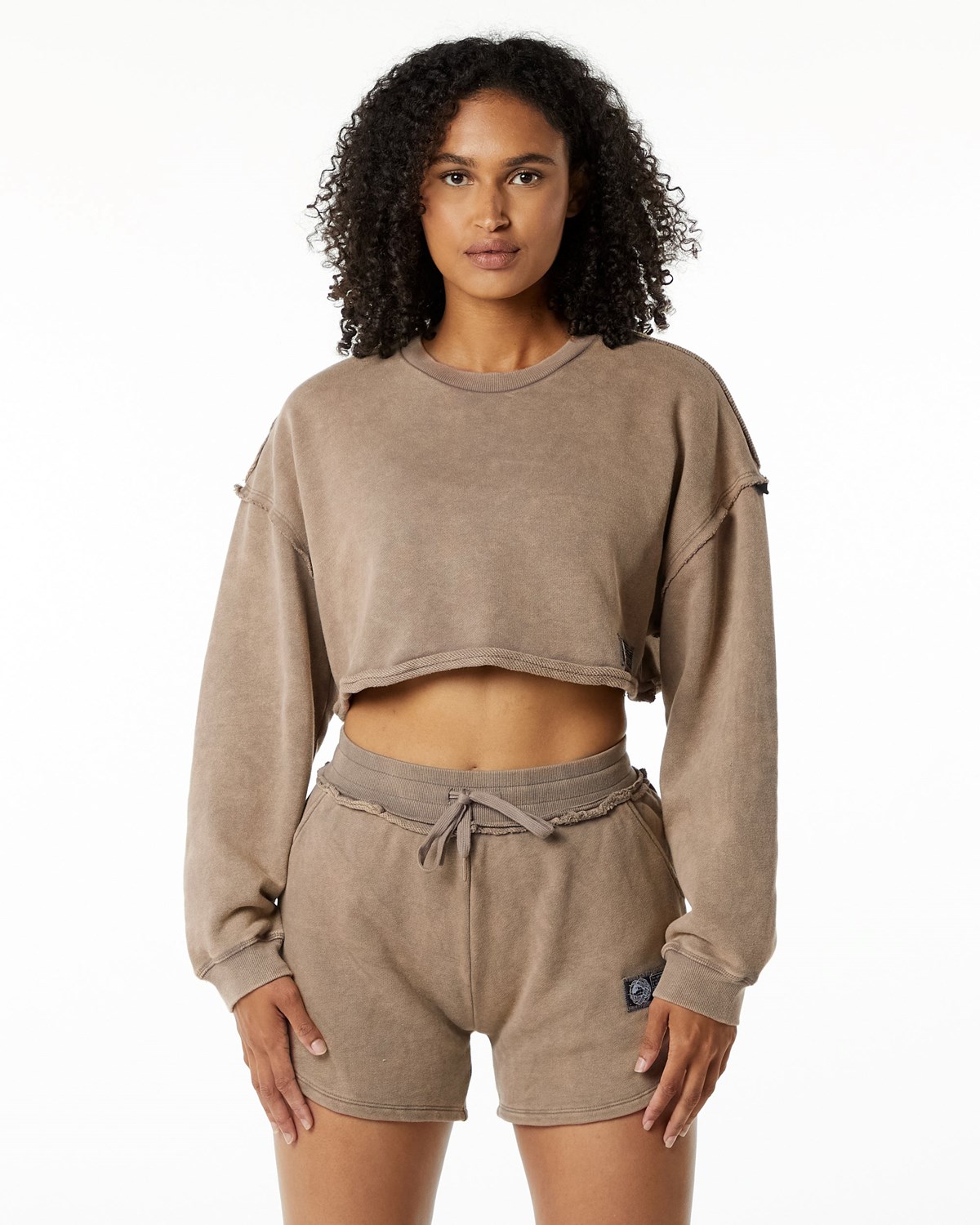 Alphalete Heavyweight Washed Terry Crop Pullover Smokey Quartz | WUQHR0921