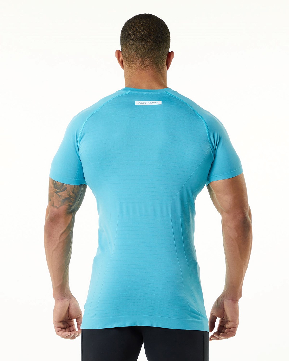 Alphalete High Performance Seamless Kort Sleeve Tee Faded Ocean | URMGE5208