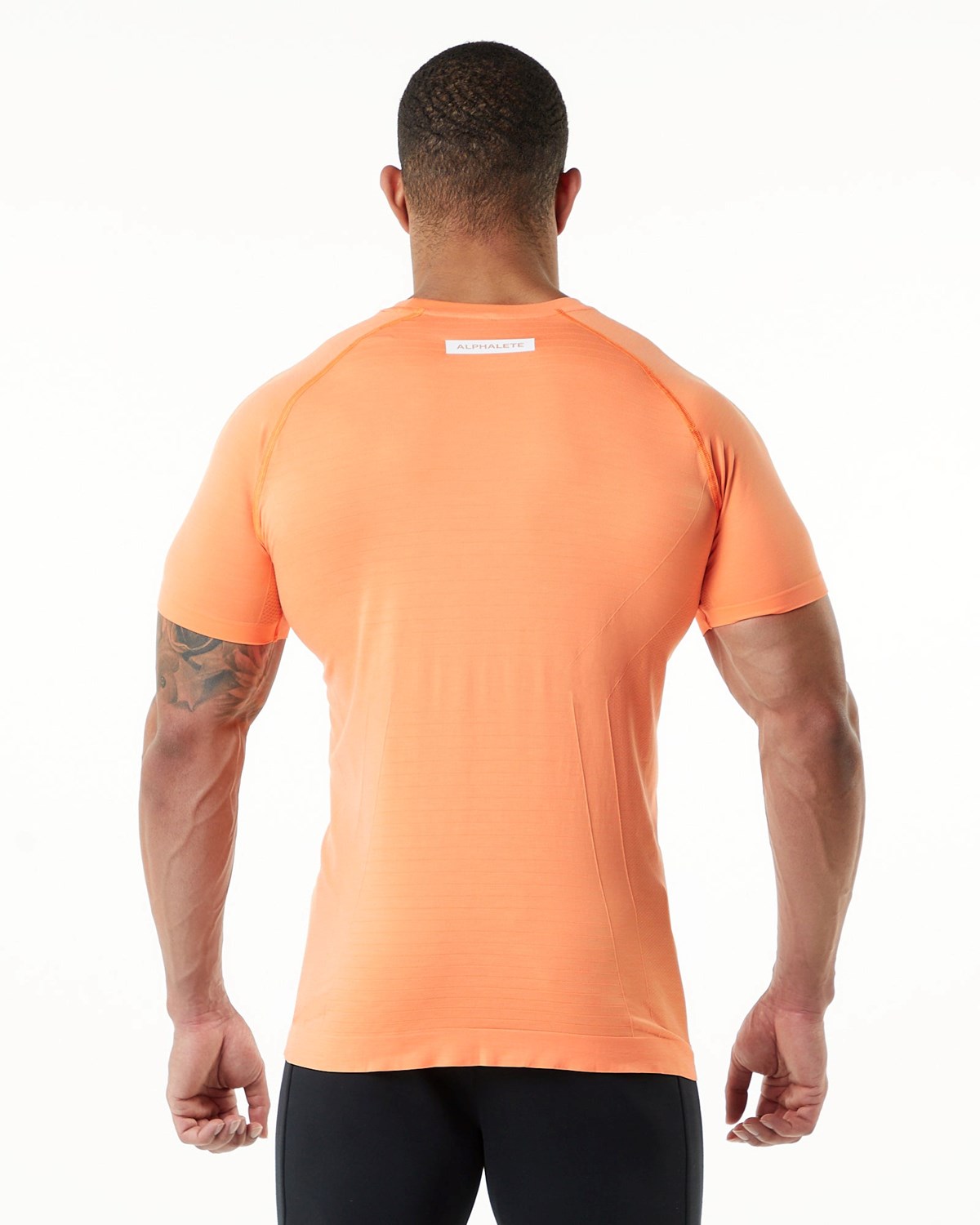 Alphalete High Performance Seamless Kort Sleeve Tee Faded Day Tripper | VILPY8069