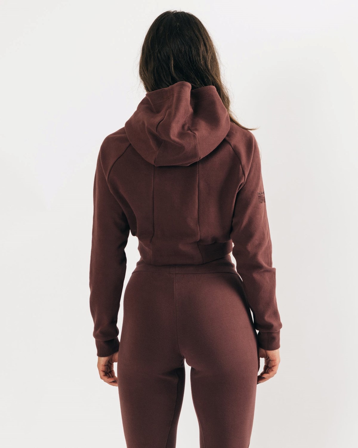 Alphalete Relaxed Single-Brushed Pullover Hoodie Mahogany | AFGUD2764