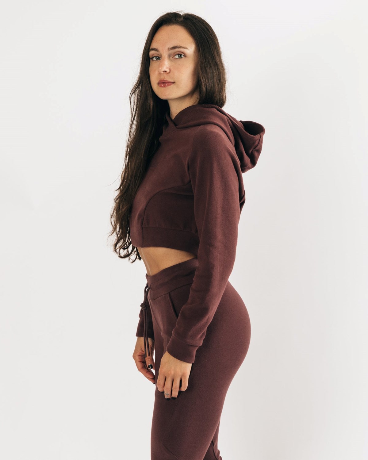 Alphalete Relaxed Single-Brushed Pullover Hoodie Mahogany | AFGUD2764